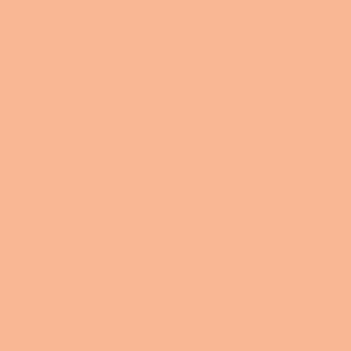 Shrimpy | Art Gallery Fabrics Solid Quilting Cotton Yardage